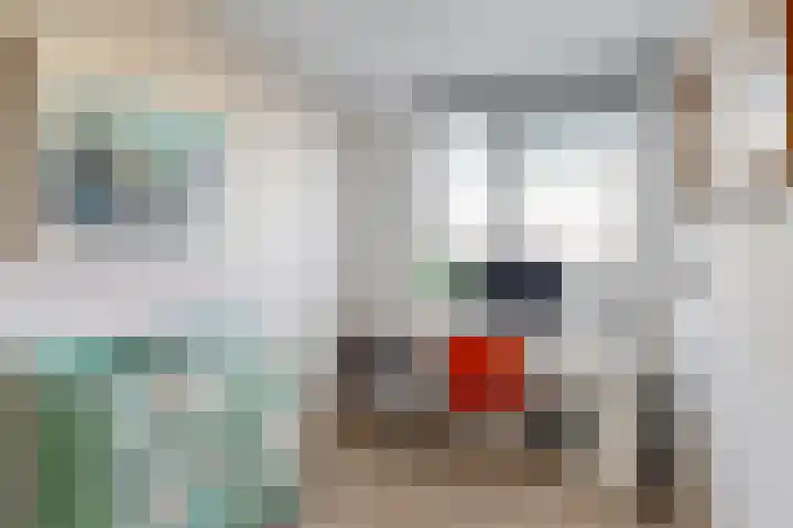 Lijnbaanstraat 32 Haarlem thumbnail 32