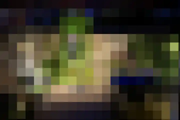 Lijnbaanstraat 32 Haarlem thumbnail 5