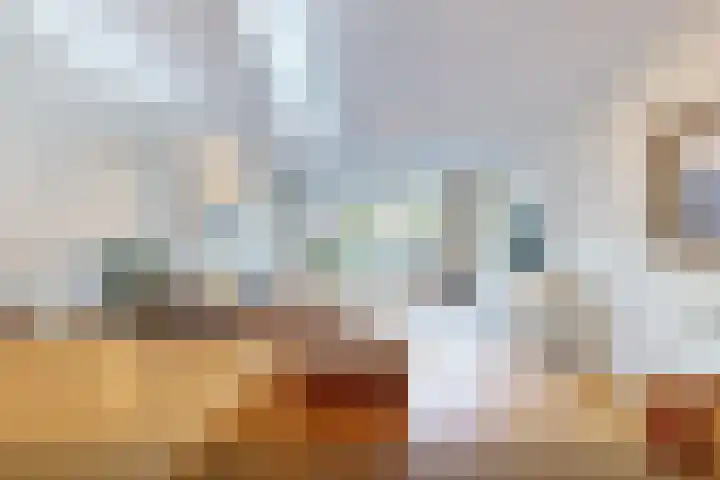 Lijnbaanstraat 32 Haarlem thumbnail 9