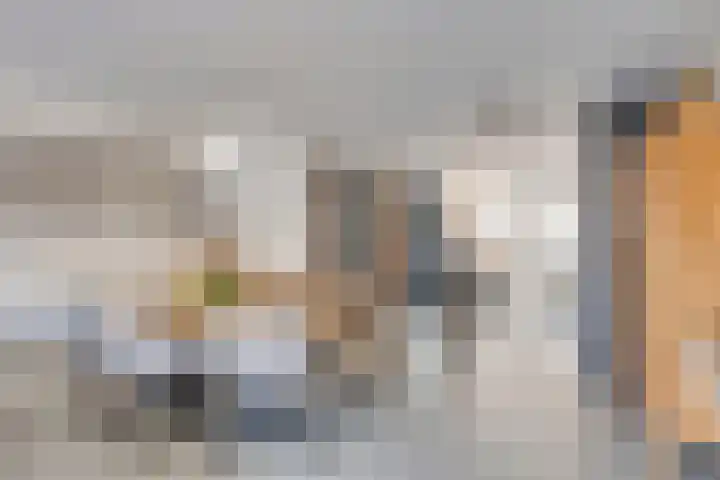 Lijnbaanstraat 33 Haarlem thumbnail 10