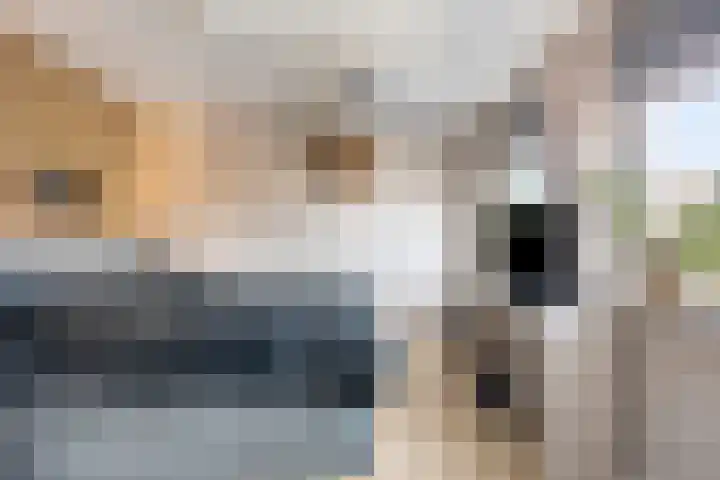 Lijnbaanstraat 33 Haarlem thumbnail 15
