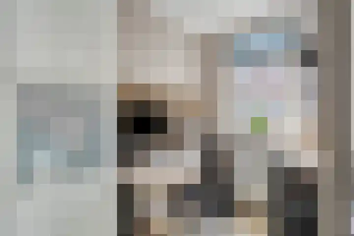 Lijnbaanstraat 33 Haarlem thumbnail 22