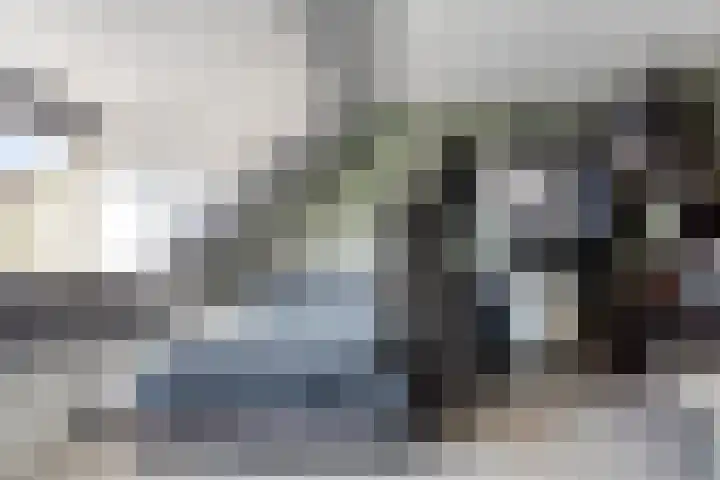 Lijnbaanstraat 33 Haarlem thumbnail 25