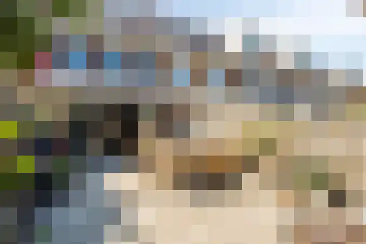 Lijnbaanstraat 33 Haarlem thumbnail 32