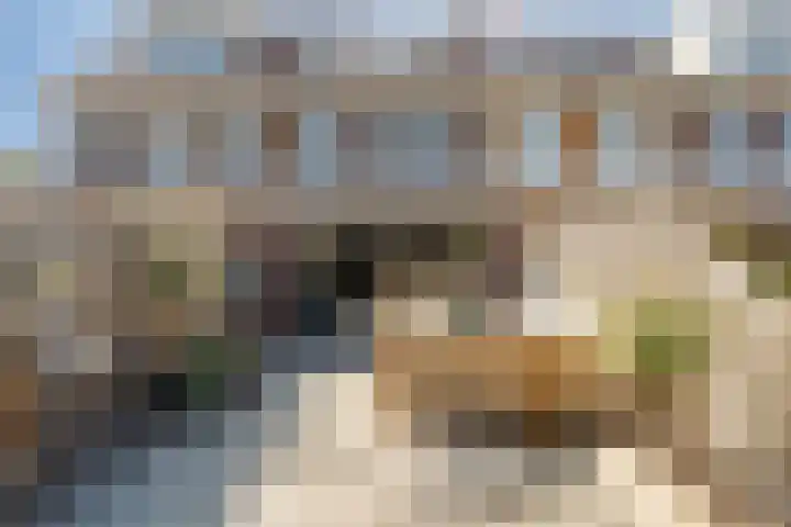Lijnbaanstraat 33 Haarlem thumbnail 33