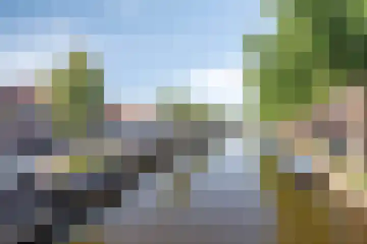 Lijnbaanstraat 33 Haarlem thumbnail 37