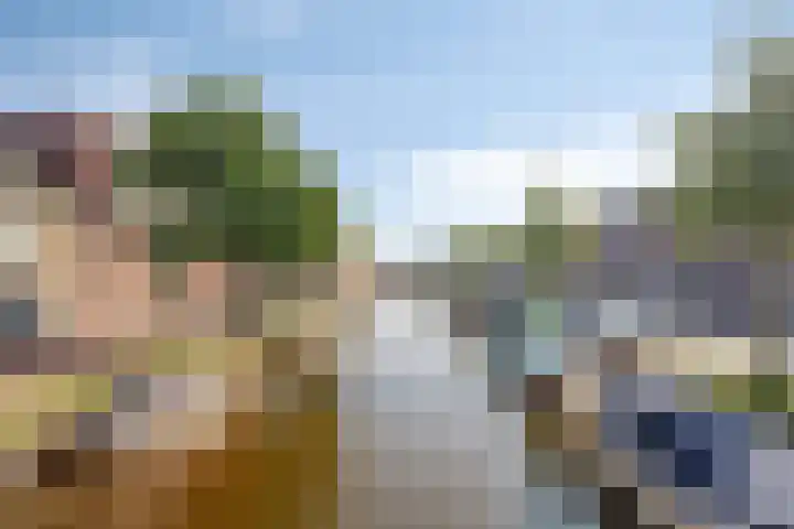 Lijnbaanstraat 33 Haarlem thumbnail 38