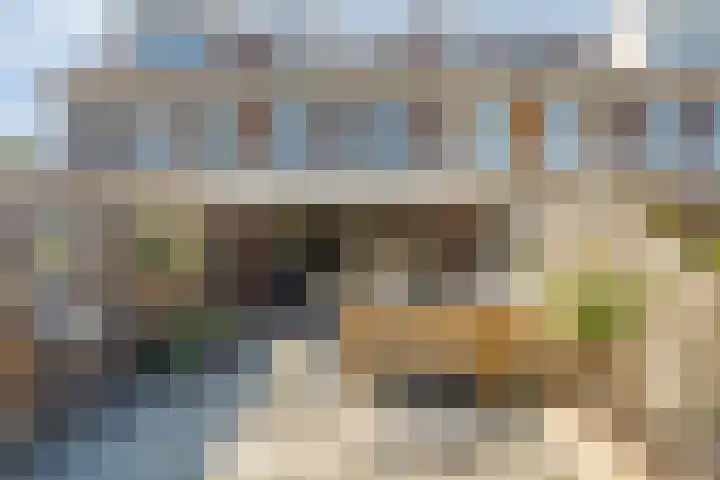 Lijnbaanstraat 33 Haarlem thumbnail 4