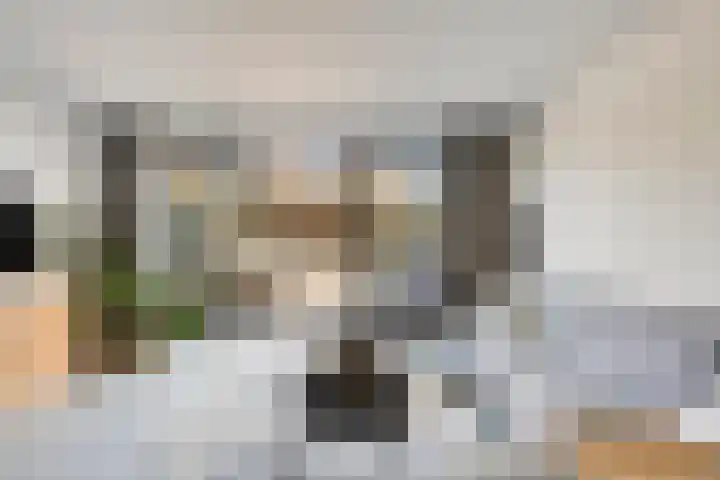Lijnbaanstraat 33 Haarlem thumbnail 8