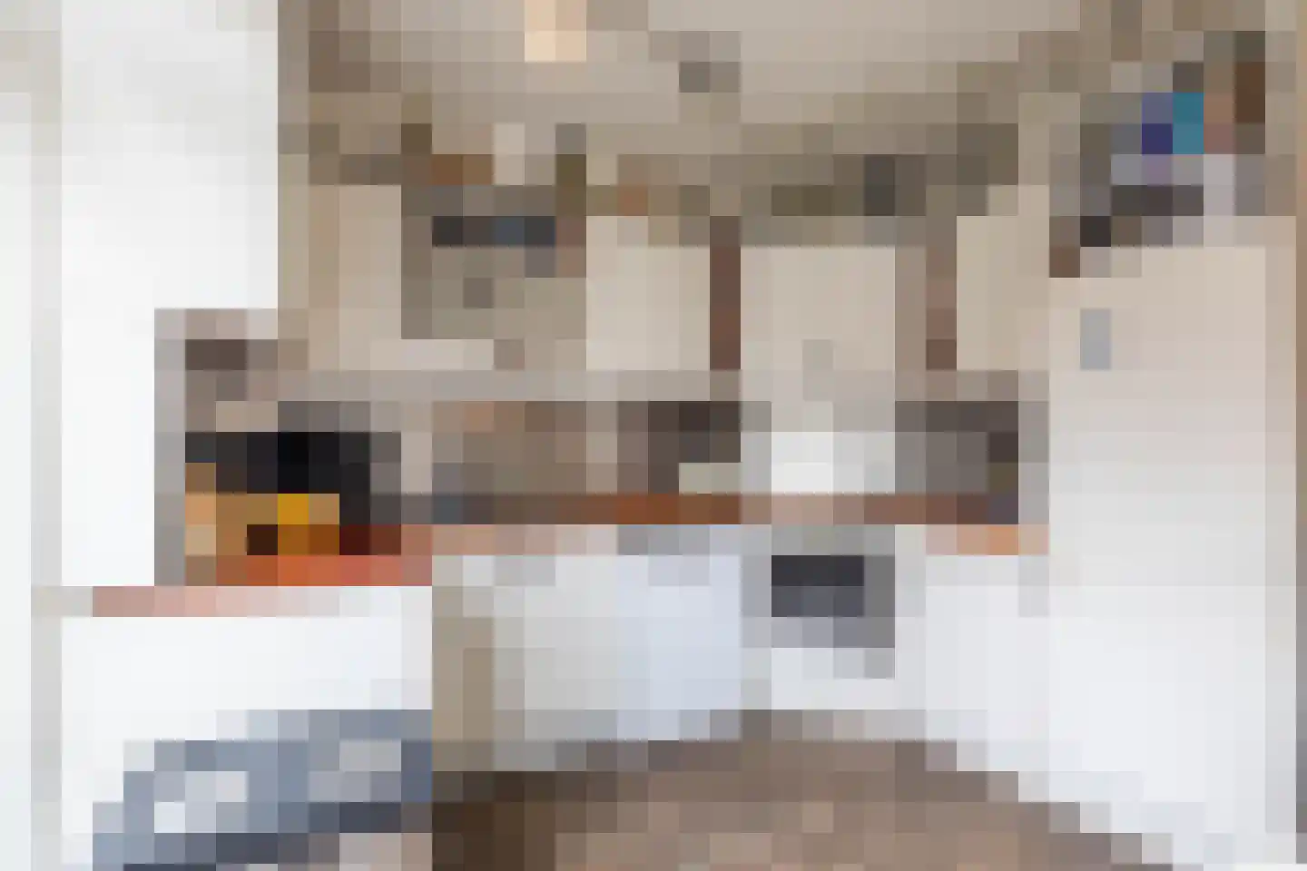 Lijnbaanstraat 38 Groningen thumbnail 19