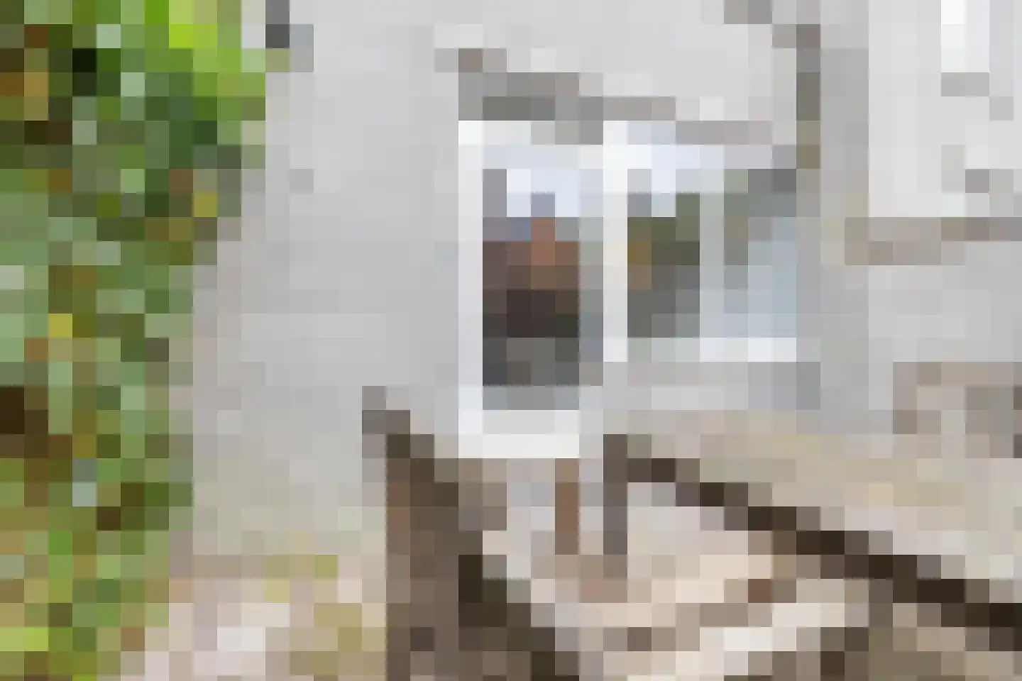 Lijnbaanstraat 38 Groningen thumbnail 26
