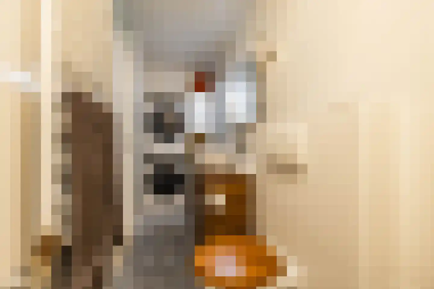 Lijnbaanstraat 38 Groningen thumbnail 45