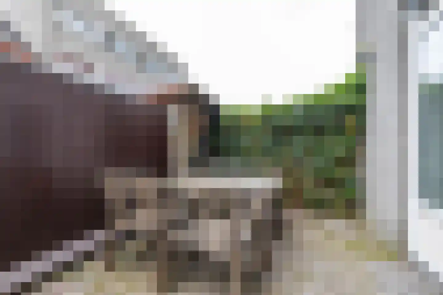 Lijnbaanstraat 38 Groningen thumbnail 5