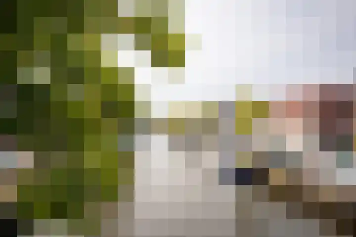 Lijnbaanstraat 4 Haarlem thumbnail 31