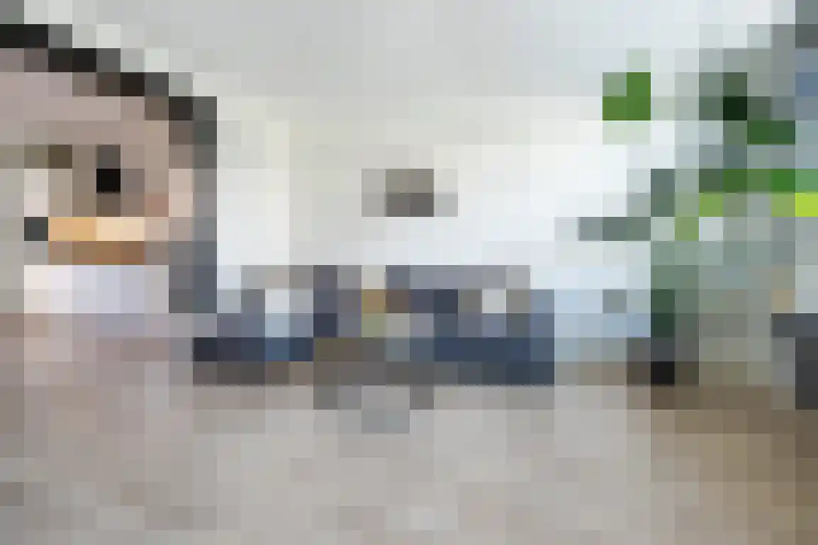 Lijnbaanstraat 4 Middelharnis thumbnail 11