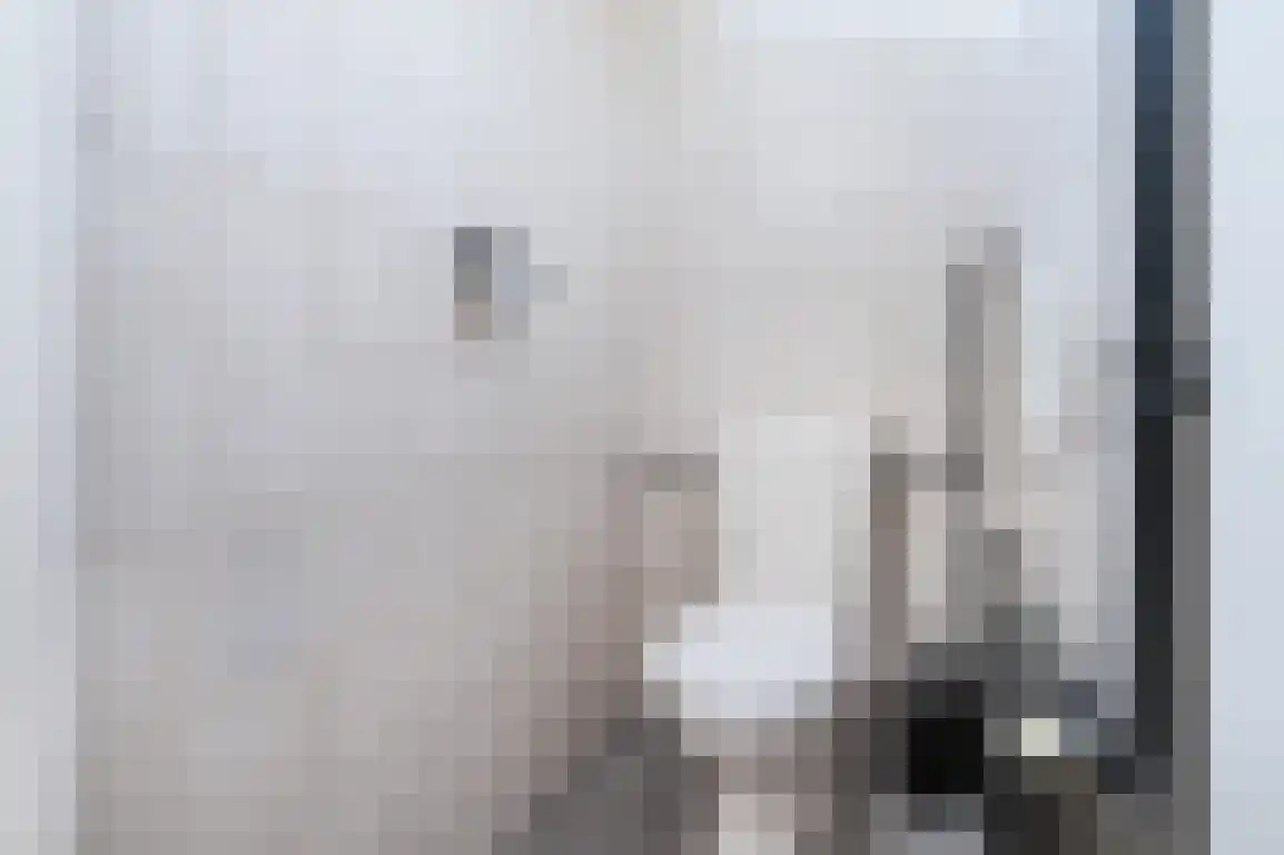 Lijnbaanstraat 4 Middelharnis thumbnail 19