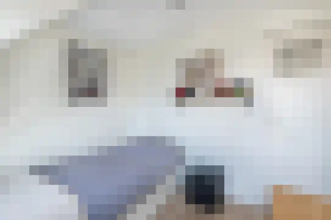 Lijnbaanstraat 4 Middelharnis thumbnail 23