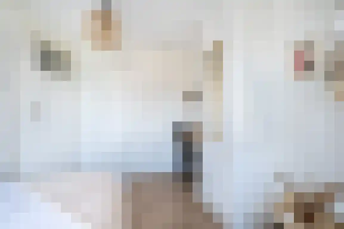 Lijnbaanstraat 4 Middelharnis thumbnail 25