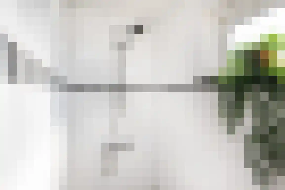 Lijnbaanstraat 4 Middelharnis thumbnail 28
