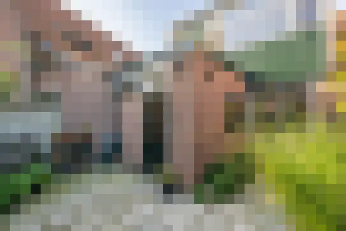 Lijnbaanstraat 4 Middelharnis thumbnail 33