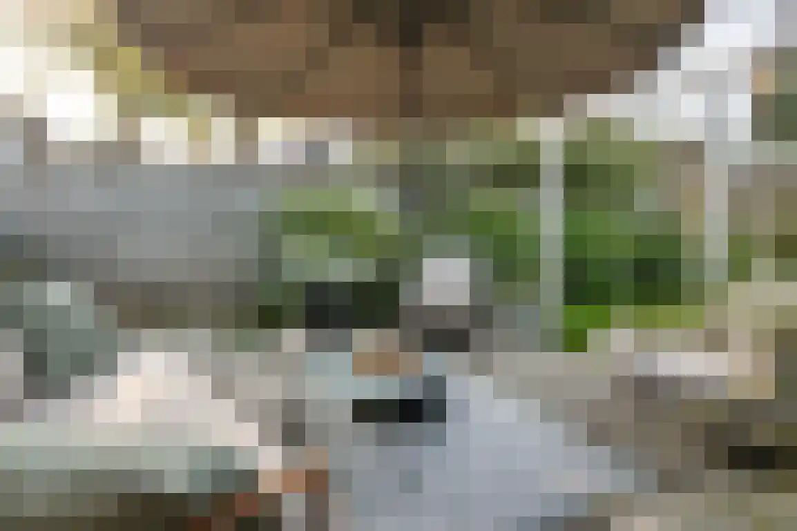 Lijnbaanstraat 4 Middelharnis thumbnail 38