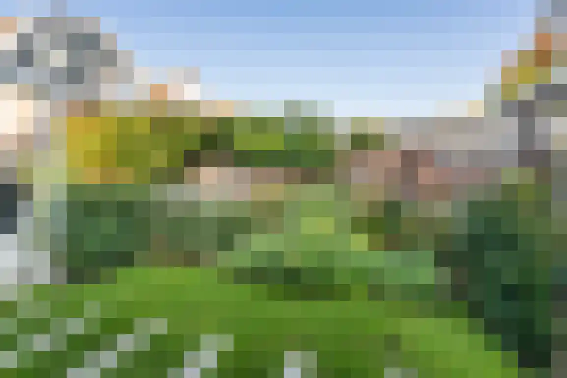 Lijnbaanstraat 4 Middelharnis thumbnail 39