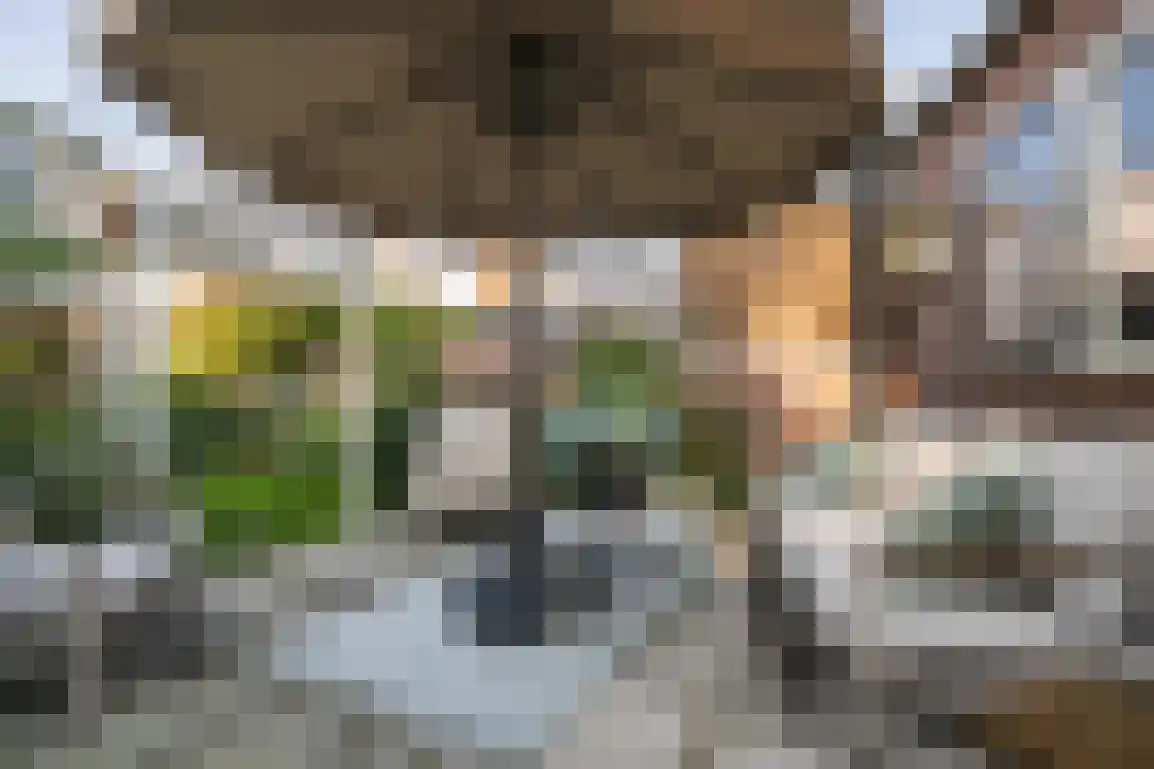 Lijnbaanstraat 4 Middelharnis thumbnail 4