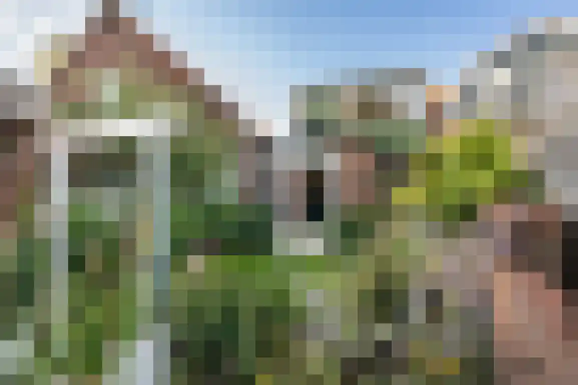 Lijnbaanstraat 4 Middelharnis thumbnail 40