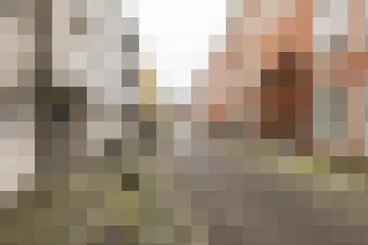 Lijnbaanstraat 44 Groningen thumbnail 10