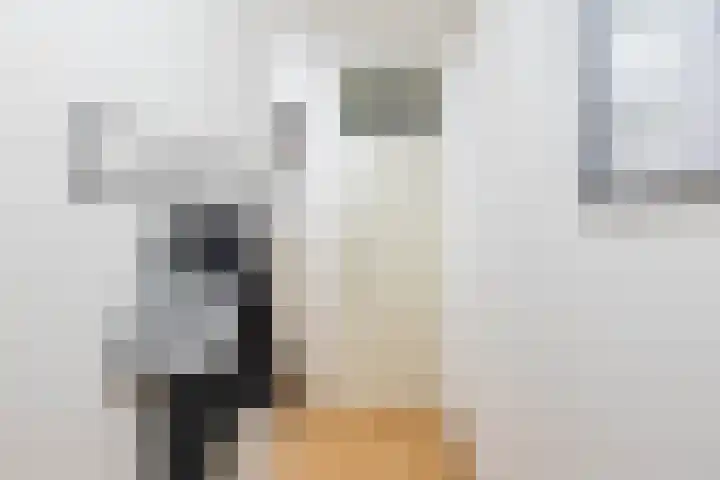 Lijnbaanstraat 44 Groningen thumbnail 17