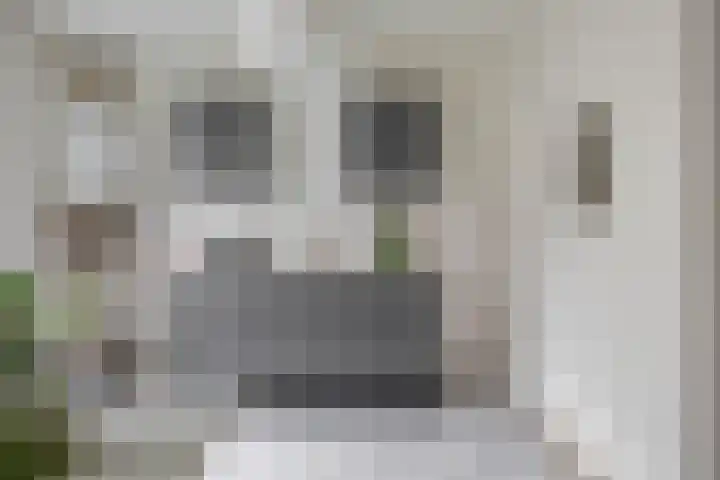 Lijnbaanstraat 44 Groningen thumbnail 26