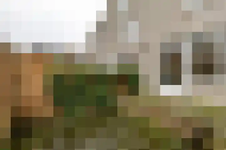 Lijnbaanstraat 44 Groningen thumbnail 29