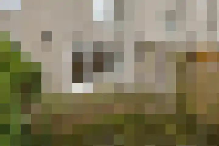 Lijnbaanstraat 44 Groningen thumbnail 30