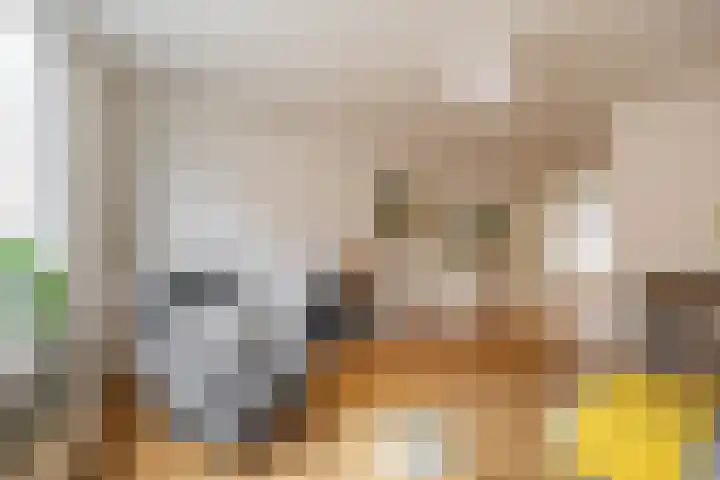 Lijnbaanstraat 44 Groningen thumbnail 34