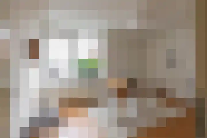 Lijnbaanstraat 44 Groningen thumbnail 37