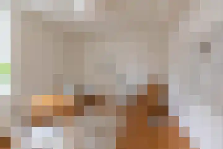 Lijnbaanstraat 44 Groningen thumbnail 38