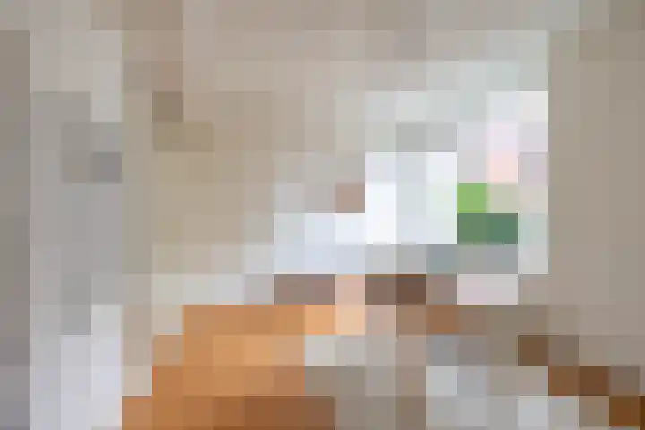 Lijnbaanstraat 44 Groningen thumbnail 39