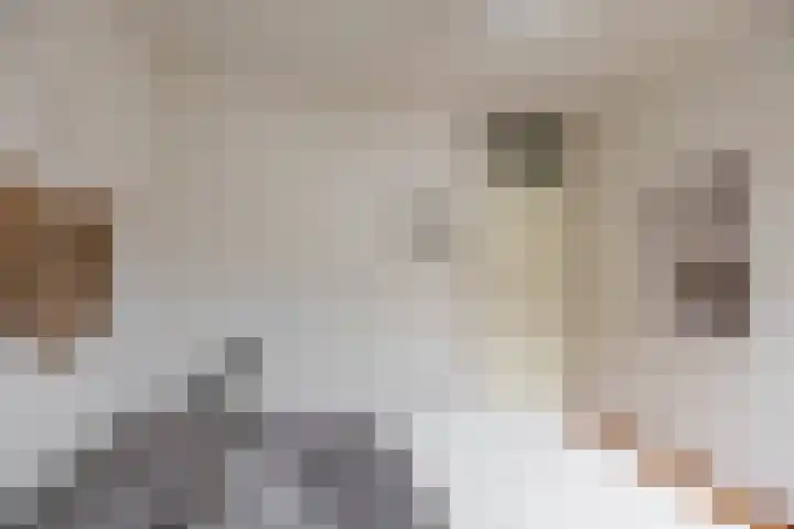 Lijnbaanstraat 44 Groningen thumbnail 44