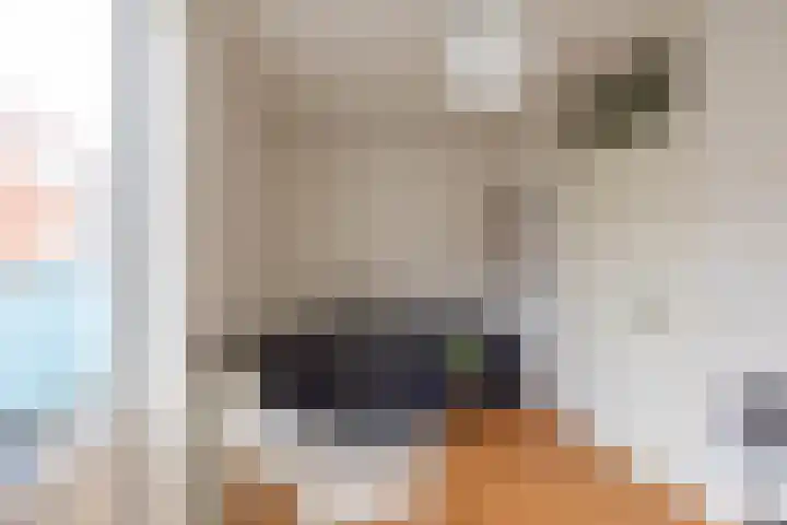 Lijnbaanstraat 44 Groningen thumbnail 46