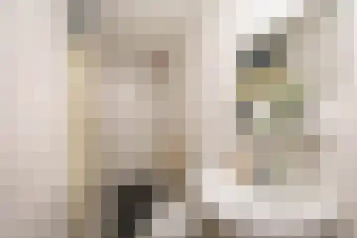 Lijnbaanstraat 44 Groningen thumbnail 52