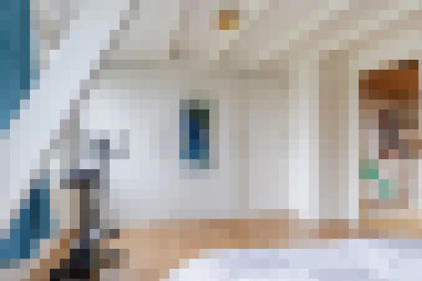 Lijnbaanstraat 60 Zaandam thumbnail 22