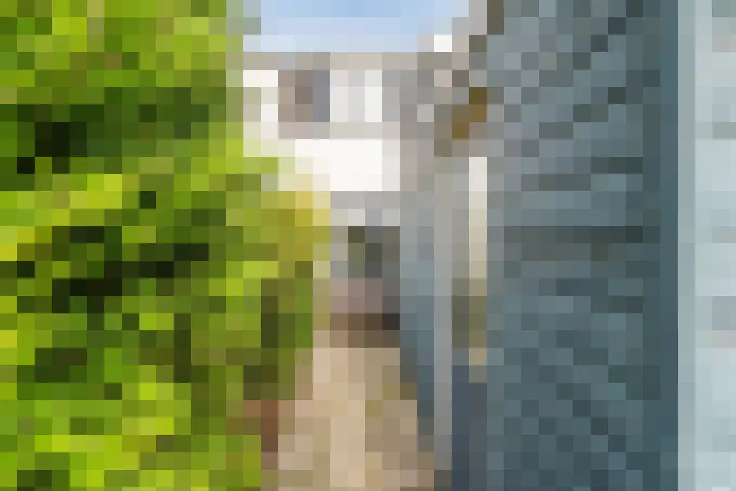Lijnbaanstraat 60 Zaandam thumbnail 27