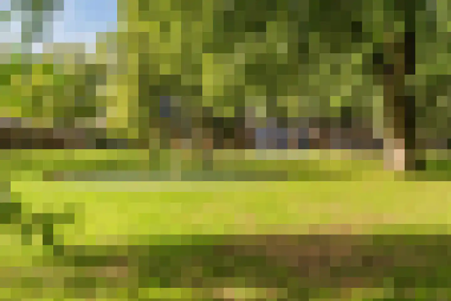 Lijnbaanstraat 60 Zaandam thumbnail 33