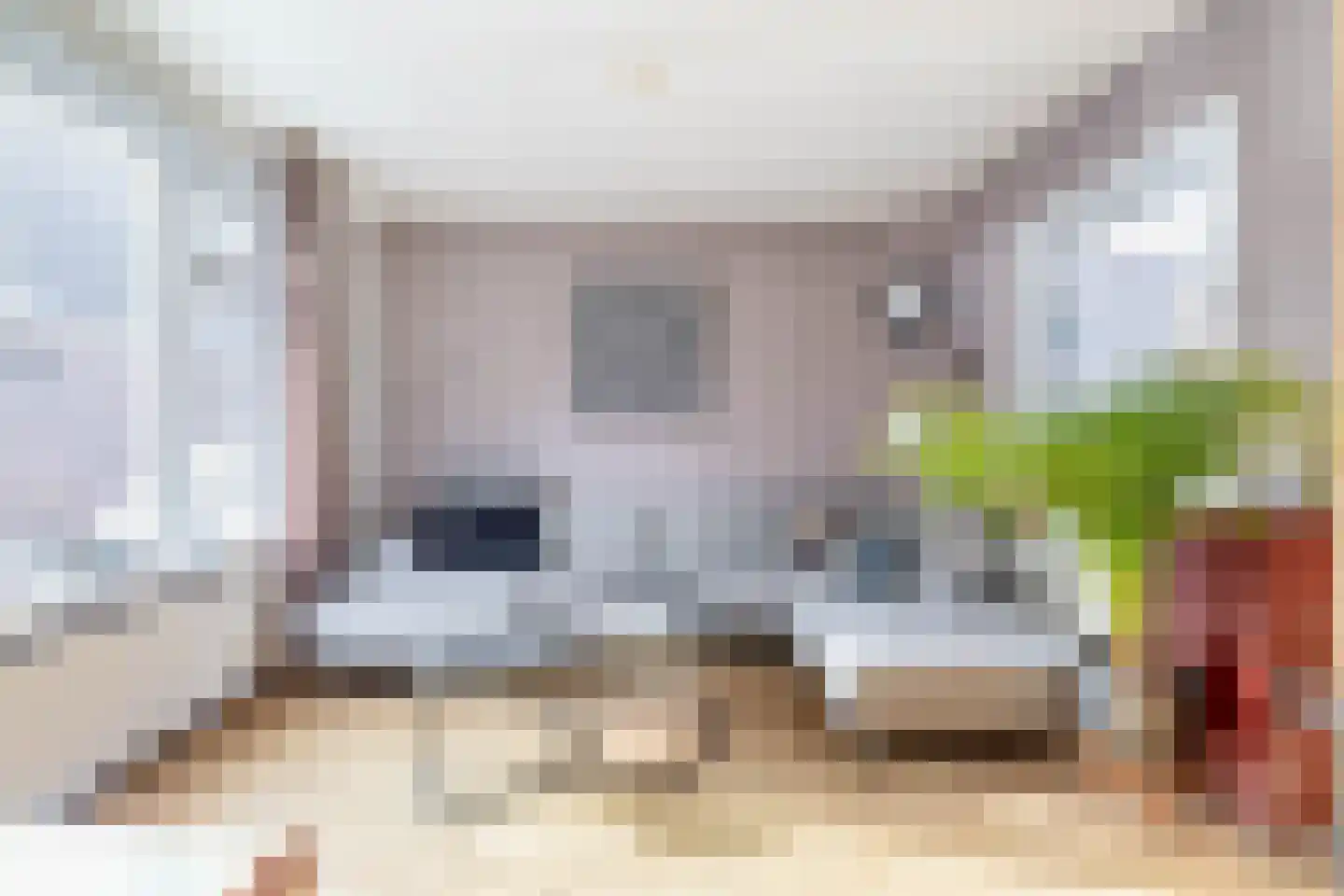 Lijnbaanstraat 75 Zaandam thumbnail 12