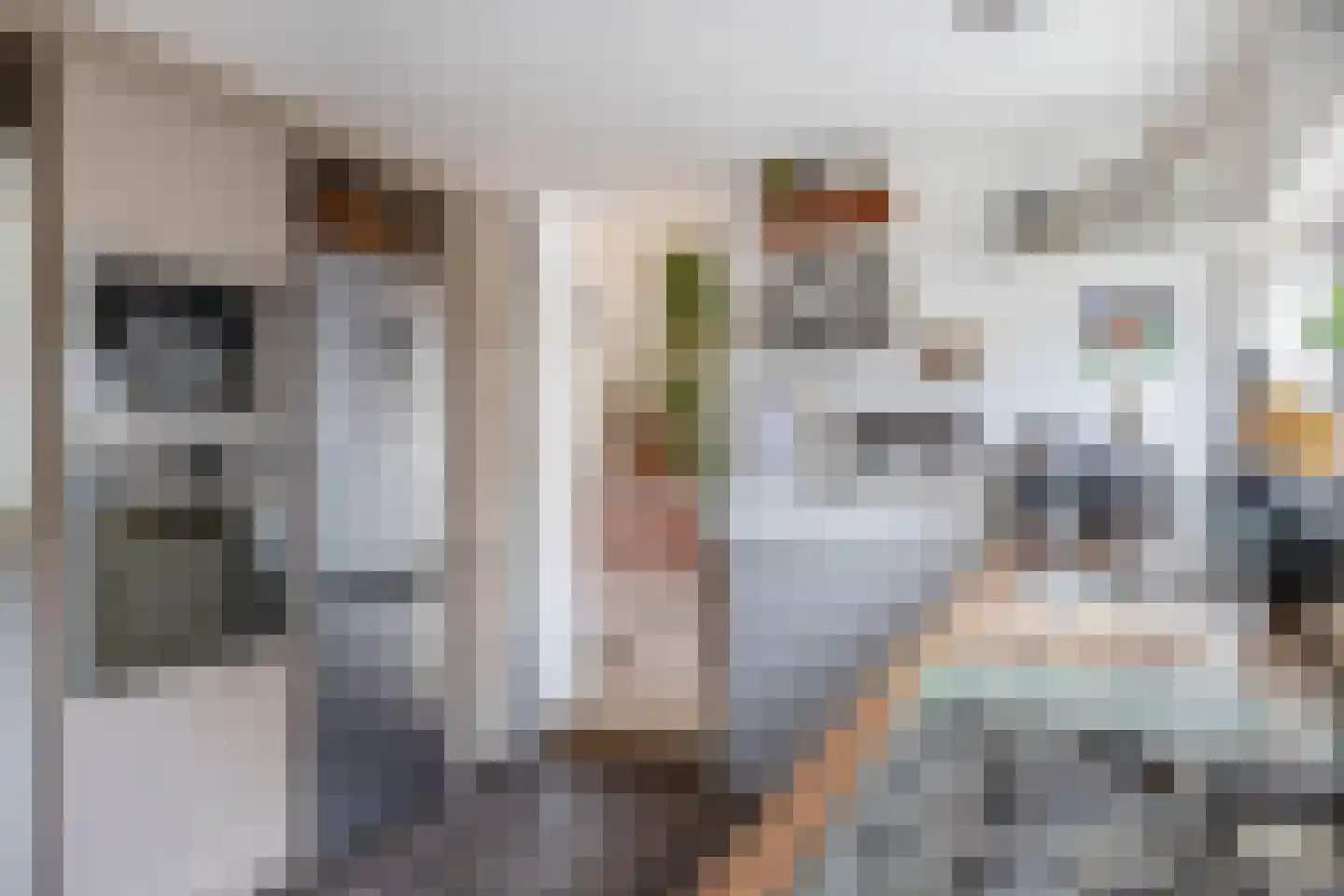 Lijnbaanstraat 75 Zaandam thumbnail 18