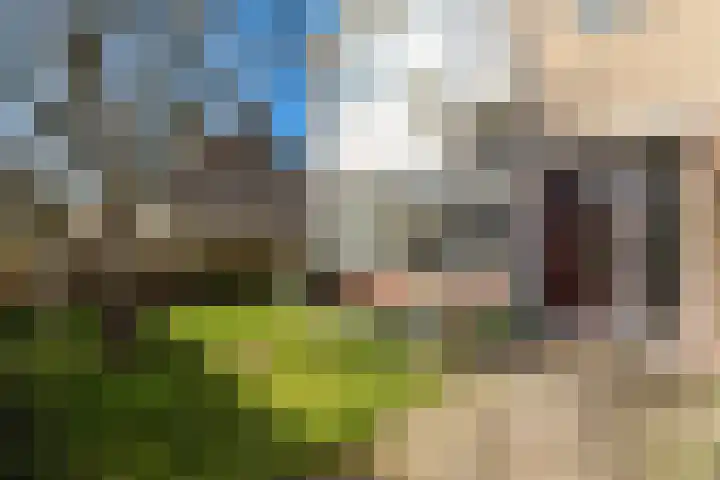 Lijnbaanweg 18 Noordwijk thumbnail 34