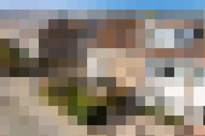Lijnbaanweg 18 Noordwijk thumbnail 43