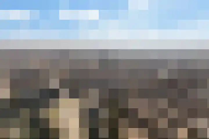 Lijnbaanweg 18 Noordwijk thumbnail 46