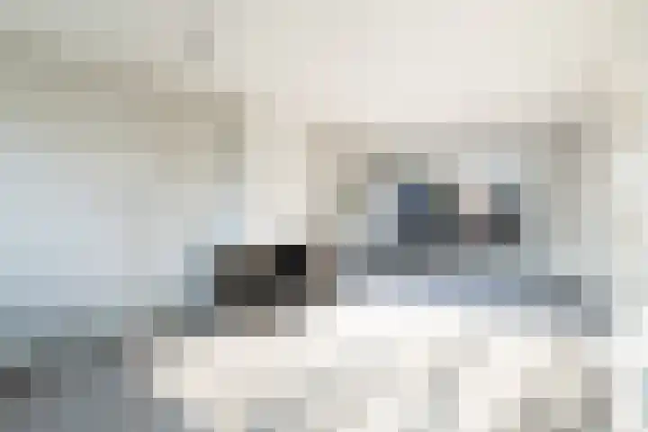 Lijnbaanweg 18 Noordwijk thumbnail 5