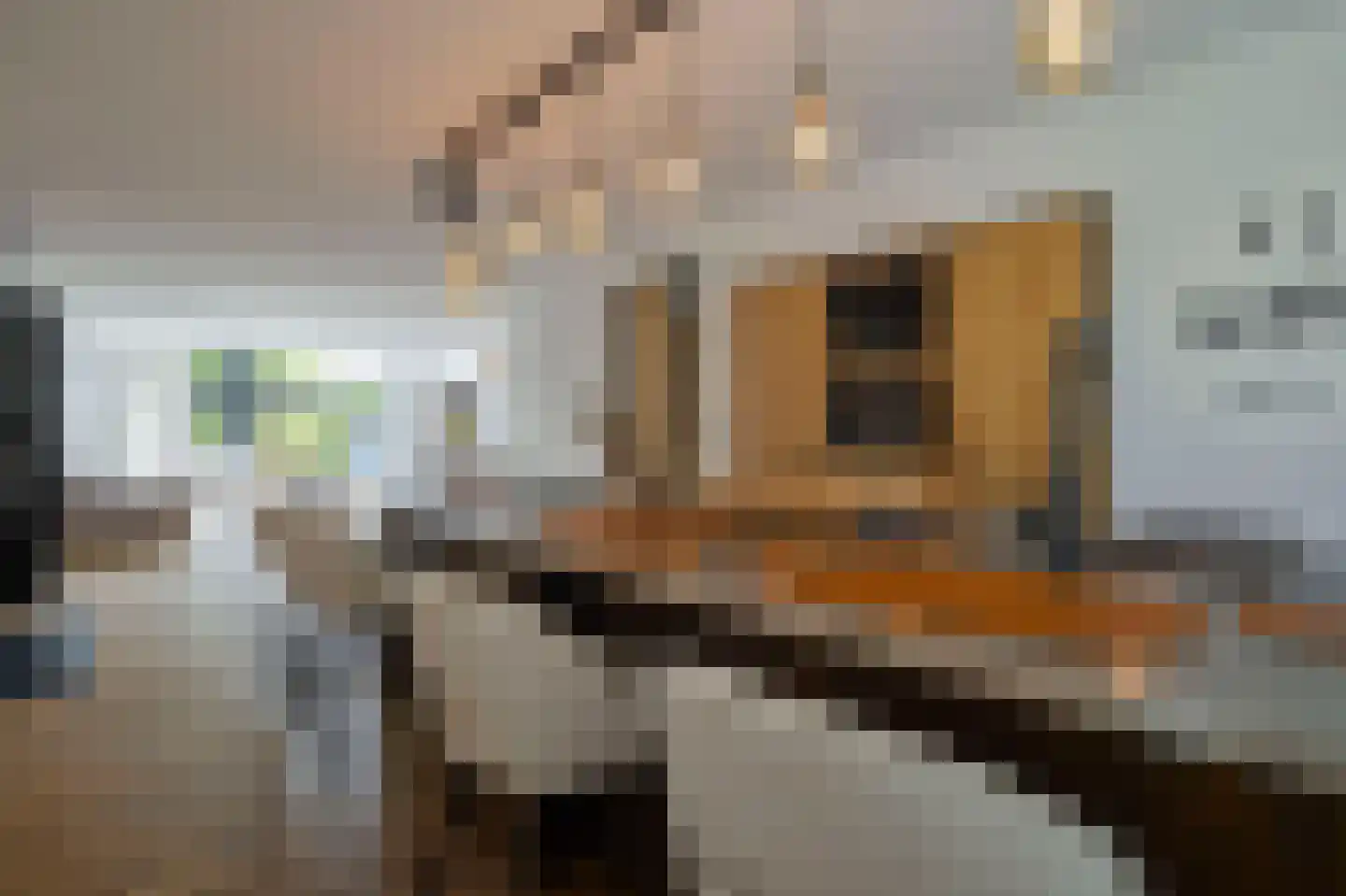 Lijnbaanweg 27 Noordwijk thumbnail 11